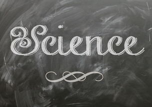 爱游戏中国官方网站平台-麦考领袖风范：全黑队胜利的灵魂人物，麦考3个总冠军