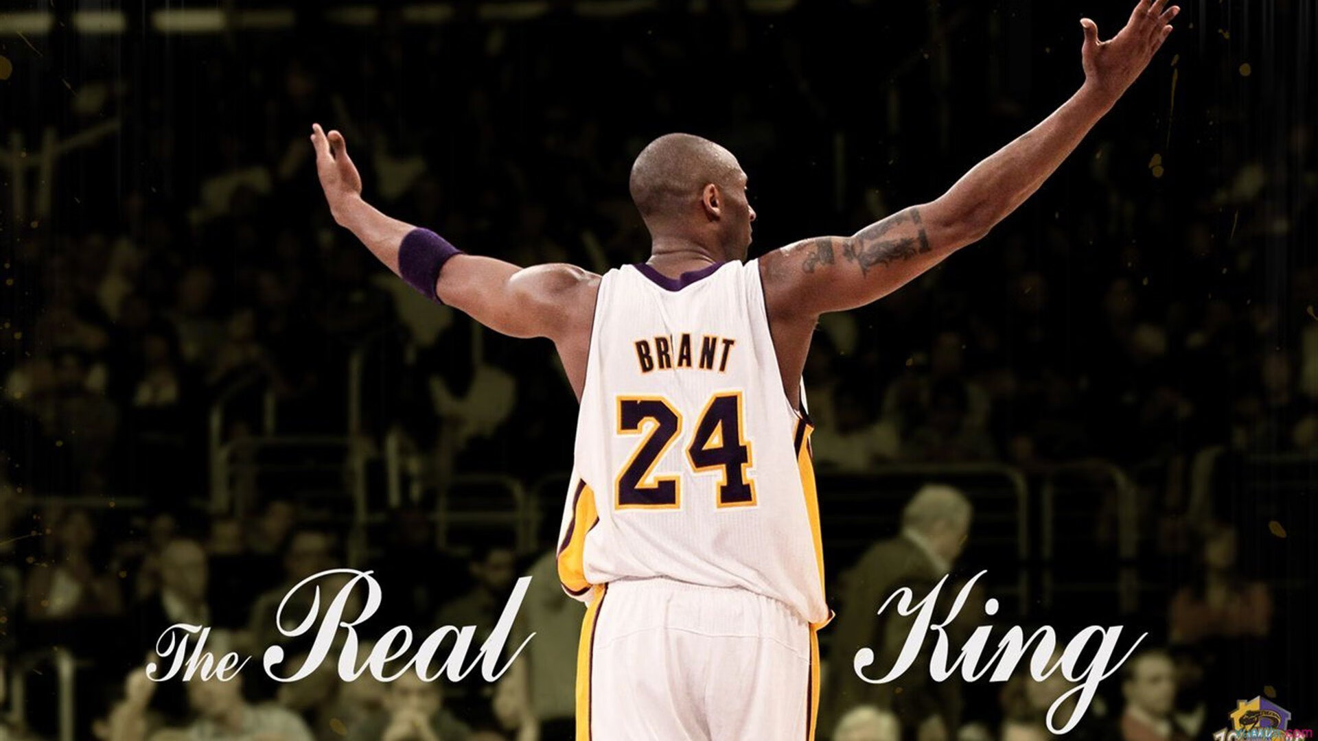 爱游戏官网首页-逆境中的闪耀：那些从低谷中奋起的篮球英雄，篮球人的奋斗史